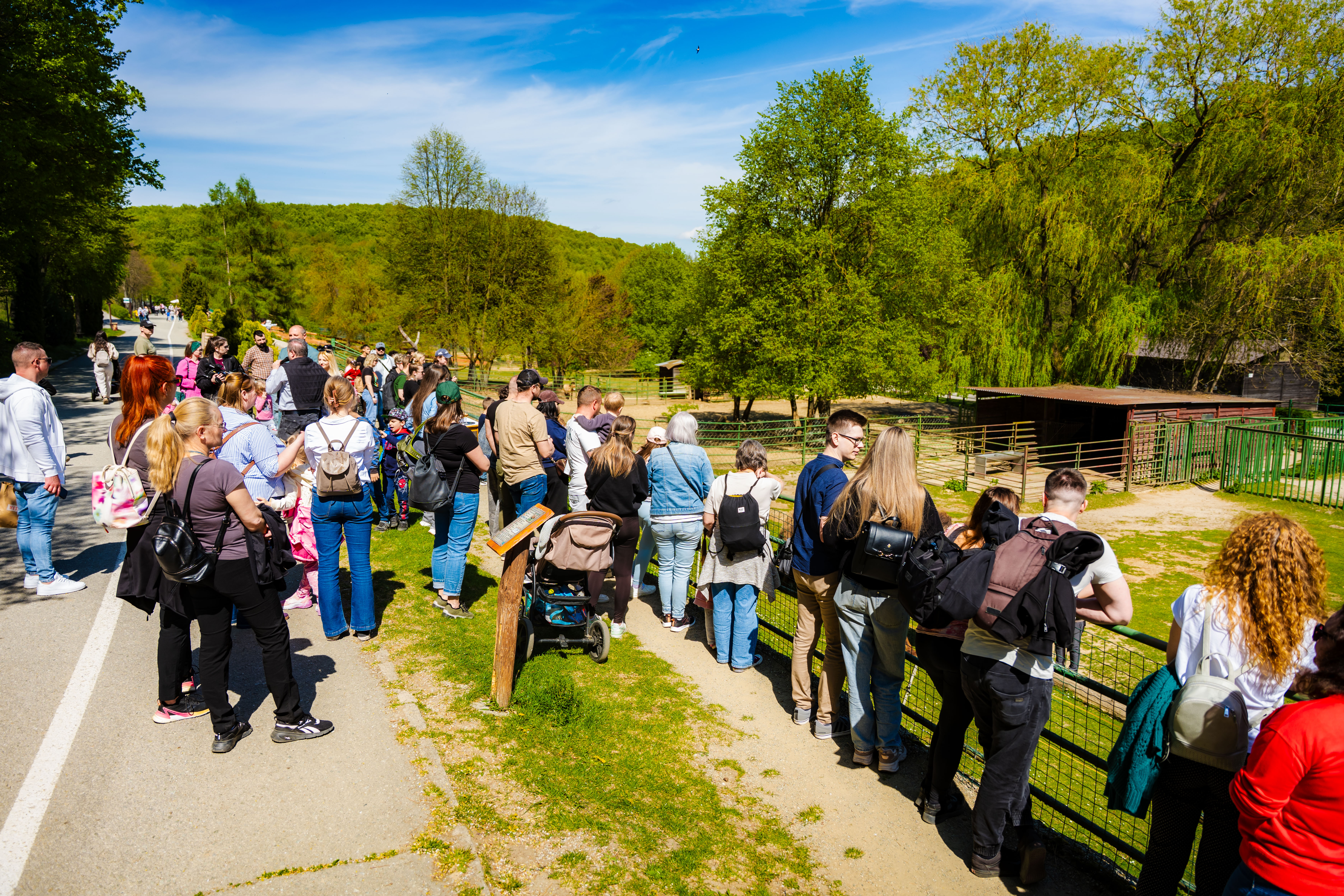 Den Zeme v Kosickej ZOO-1-17